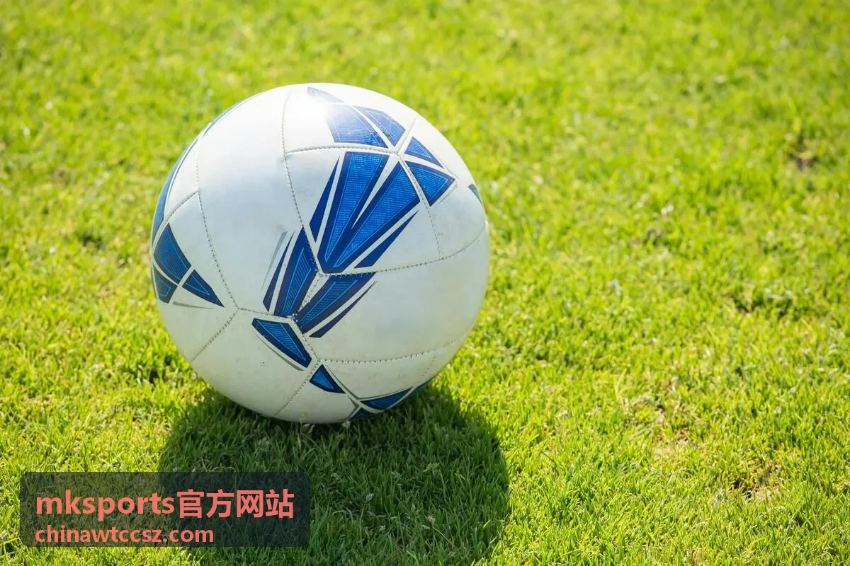 mksports官方网站最新公告与开票提醒