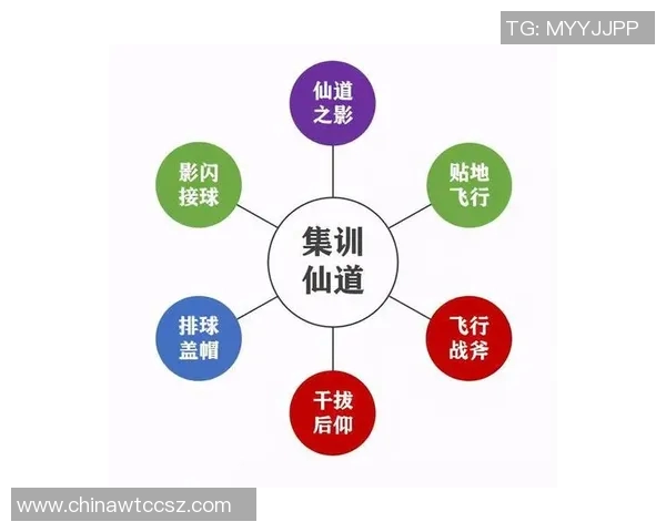 从零基础到排球高手：全面解析比赛技巧与实战经验攻略MBA
