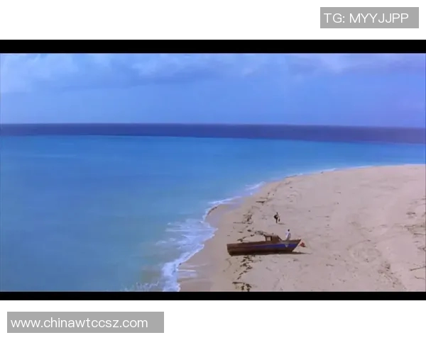 陈娜的羽毛球人生深度对话探索她的奋斗与梦想之路